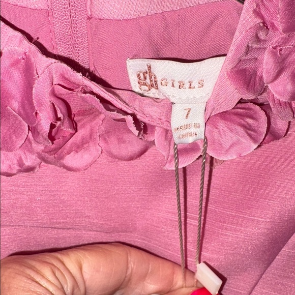 Gb Girls Spring Easter Floral Appliqué Fit and Flare Pink Dress Size 7 NWT - Picture 4 of 6